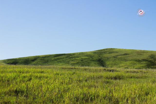 Landscapes