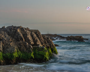 Collection image for: Seascapes