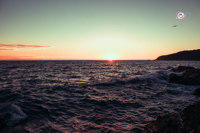 Sea Side