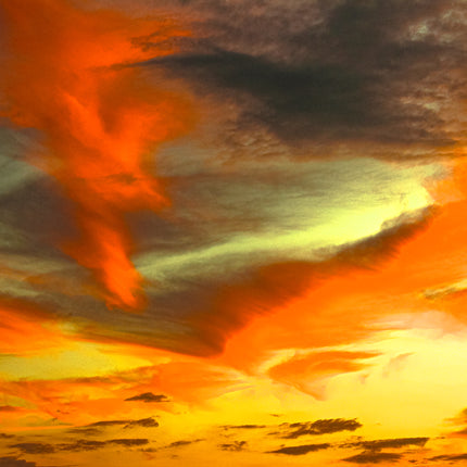 Butterfly Sky