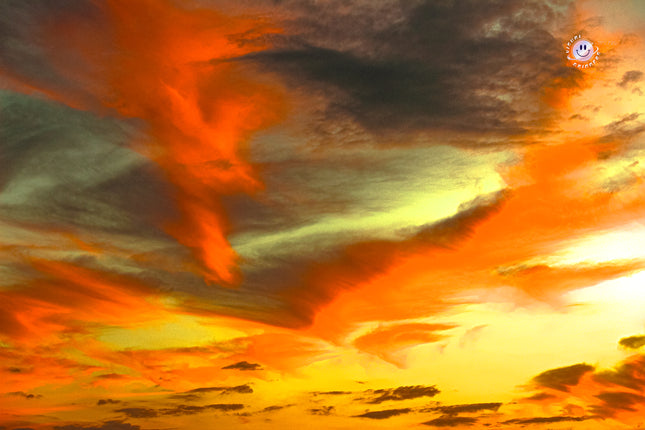 Butterfly Sky