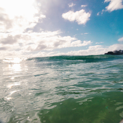 Seal Rocks 2