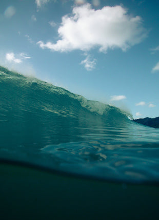 Seal Rocks 5