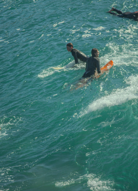 Seal Rocks 7